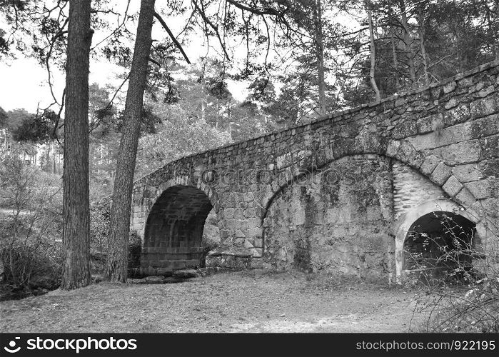 Black and white bridge made of stone on a forest path