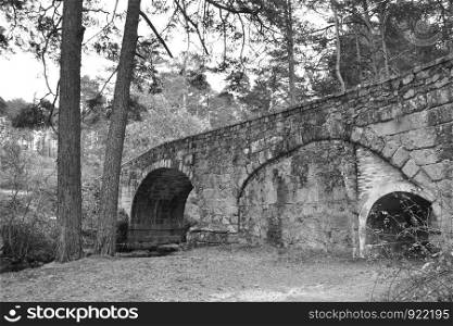 Black and white bridge made of stone on a forest path