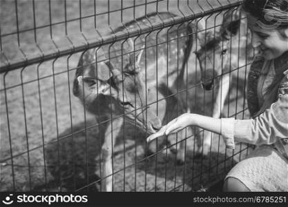 Black and white closeup image of young woman feeding deer from hand in the zoo
