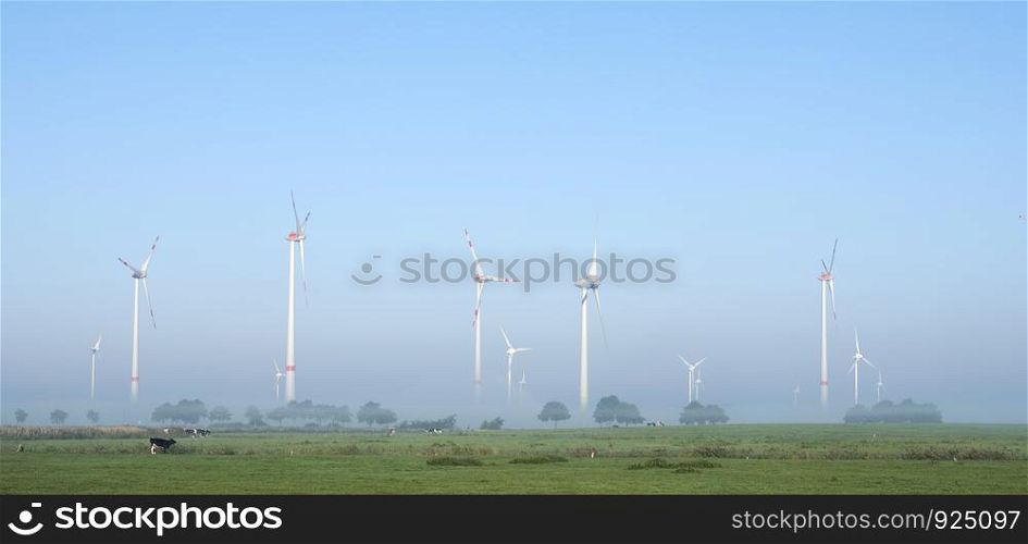 black and white cows in green meadow near wind farm in german lower saxony on foggy summer morning under blue sky