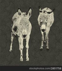 Black and White Drawing of Two Donkeys