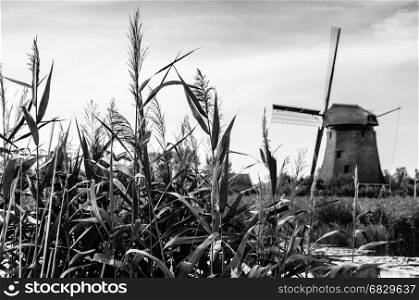 Black and white Dutch landscape