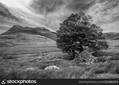 Black and white Evening landscape image of Llyn y Dywarchen lake in Snowdonia National Park
