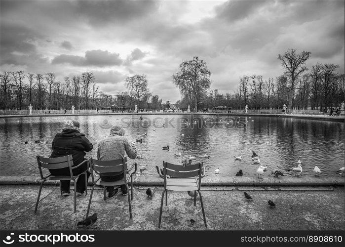 Black and white image in the Louvre Garden, from Paris, France, where a Parisian couple feeds a myriad of city birds, pigeons, ducks and seagulls.
