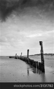Black and white image of beach at low tide with wooden posts landscape