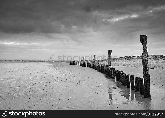 Black and white image of beach at low tide with wooden posts landscape