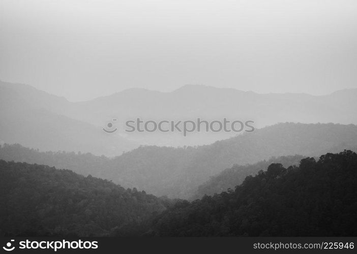 Black and white image of forest and mountain in Mon Cham, Chiang Mai, Thailand