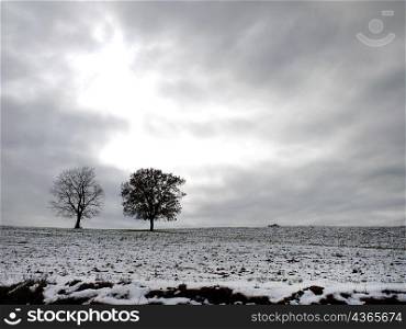 Black and white image of frost covered meadow in winter
