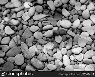 Black and White image of small rock pebbles