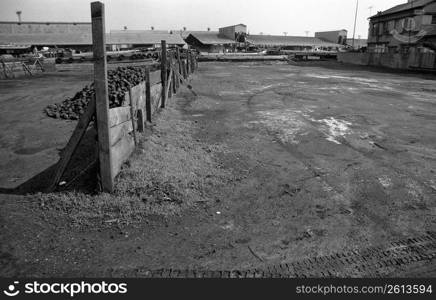 Black and white landscape