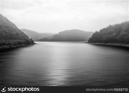 Black and white landscape of misty lake surrounded by trees