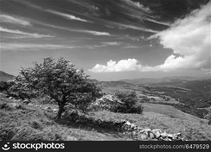 Black and white landscape view from Cadair Idris looking North t. Wales, Gwynedd, Snowdonia . View from Cadair Idris looking North towards Dolgellau over fields and countryside.. Black and white landscape view from Cadair Idris looking North towards Dolgellau over fields and countryside
