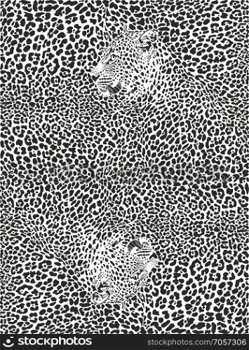 Black and white leopard pattern background