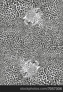 Black and white leopard pattern background