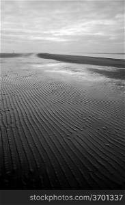 Black and white low tide beach landscape
