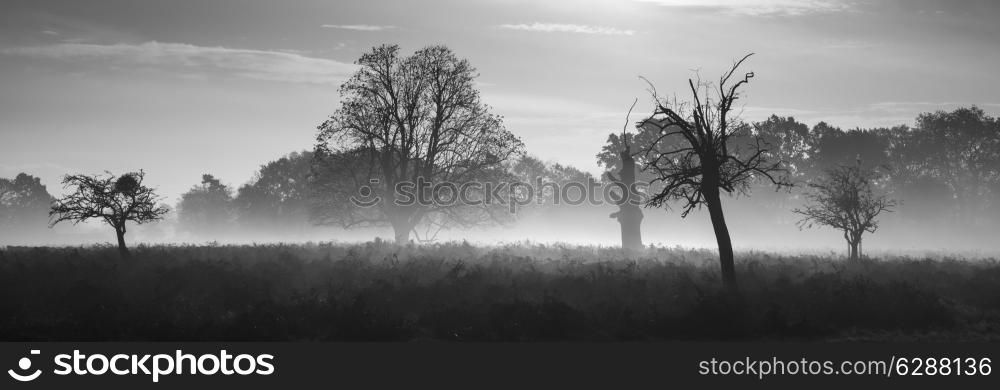 Black and white moody countryside landscape