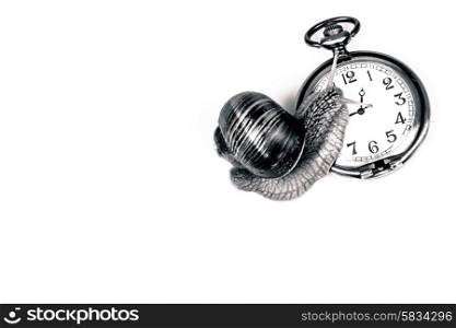 Black and white photo of a snail climbing the clock