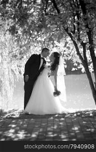 Black and white photo of beautiful bride and groom kissing under big tree at river