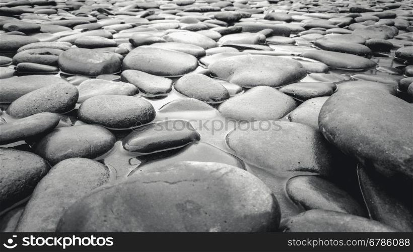 Black and white photo of river bed with pebbles