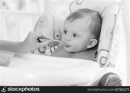 Black and white portrait of adorable baby boy eating porridge from spoon