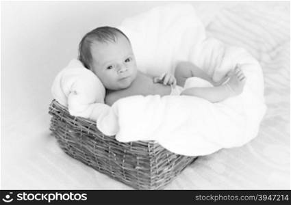 Black and white portrait of cute newborn baby boy lying in big wicker basket