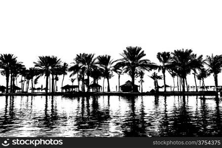 Black and white silhouette of palm beach in Dubai with reflexion on water.
