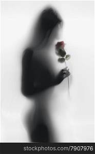 Black and white silhouette of young woman smelling rose