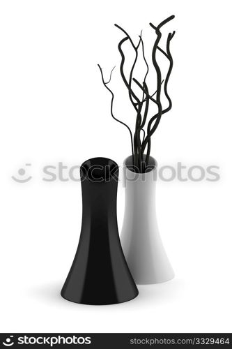 black and white vases with dry wood isolated