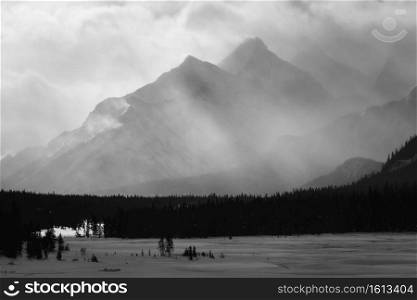 Black and white views across a snowy winter landscape of Kananaskis Country in Alberta, Canada.