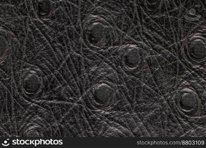 Black artificial or synthetic leather background with neat texture and copy space, colorful fabric s&le with leather-like finish aimed for upholstery, fashion, sewing or footwear projects