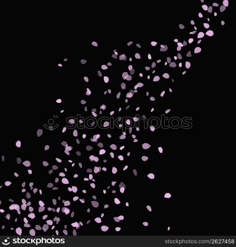 Black background with petals