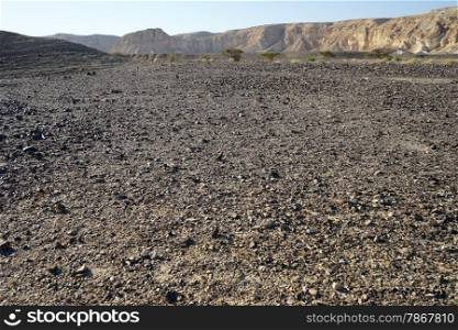 Black basalt in Negev desert in Israel
