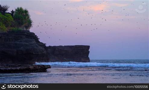 Black bats silhouettes flying on blue sky in Pura Tanah Lot, Bali beach at sunset. The most popular of tourist attraction. Nature sea landscape background in Indonesia.