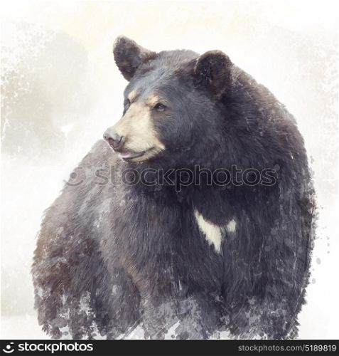 Black Bear portrait watercolor painting. Black Bear watercolor