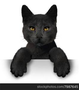 Black cat as a symbol for superstition and an animal with a horizontal blank sign representing halloween announcement made by a pet belonging to a witch.