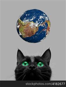 Black cat playing with earth planet on grey