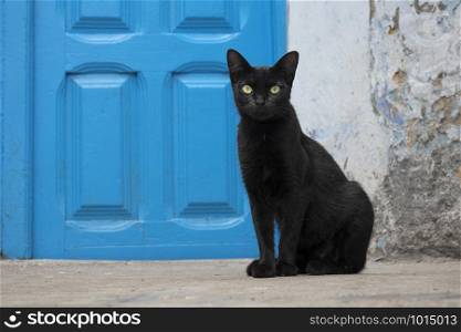 Black cat sitting in front of a blue door watching people passing by