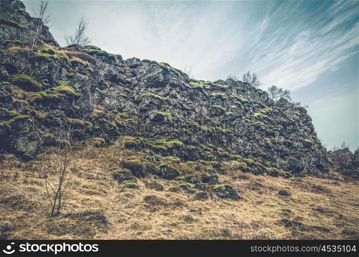 Black cliffs with green moss at Thingvellir national park in Iceland