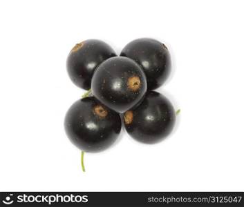 black currant fruits isolated on white background