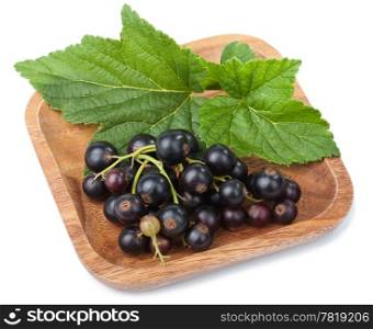 black currant in bowl isolated