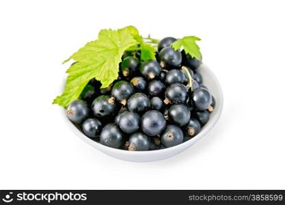 Black currants in a white bowl with green leaf isolated on white background