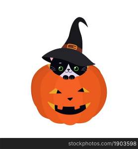 Black cute cat sitting in Halloween pumpkin. Cartoon flat style. Vector illustration