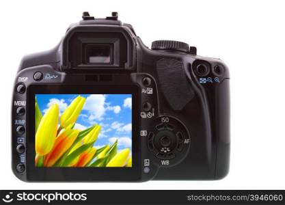 Black DSLR camera from rear isolated over white backgrouhnd