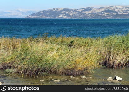 Black ducks on the blue lake Egirdir in Turkey