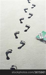 Black footprints on carpet