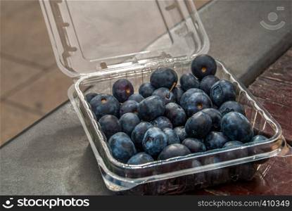 Black grapes in plastic boxes ready to eat