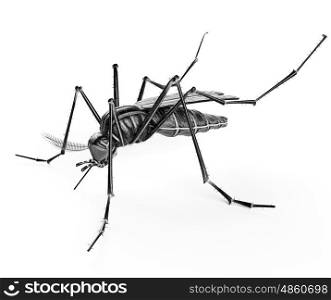 Black isolated mosquito. 3d rendering