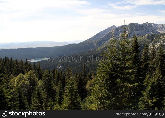 Black lake and forest in mountain, montenegro