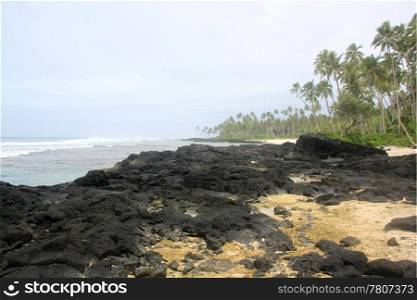 Black lava on the beach in Upolu island, Samoa