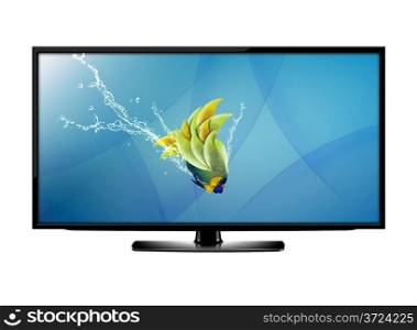 Black LCD tv screen and fish with water splash . (with clipping work path). LCD tv screen